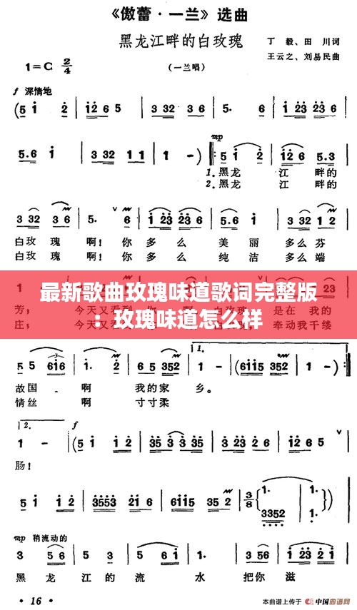 最新歌曲玫瑰味道歌词完整版：玫瑰味道怎么样 