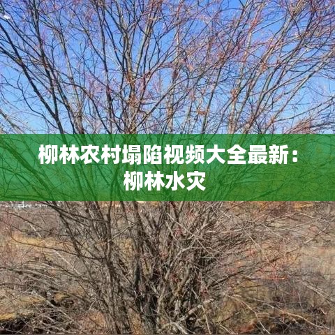 柳林农村塌陷视频大全最新：柳林水灾 
