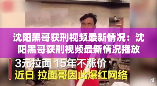 沈阳黑哥获刑视频最新情况：沈阳黑哥获刑视频最新情况播放 