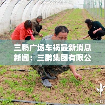 三鹏广场车祸最新消息新闻：三鹏集团有限公司 