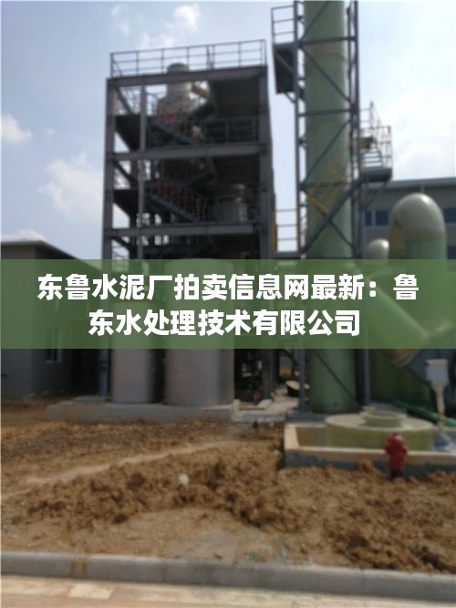 东鲁水泥厂拍卖信息网最新：鲁东水处理技术有限公司 