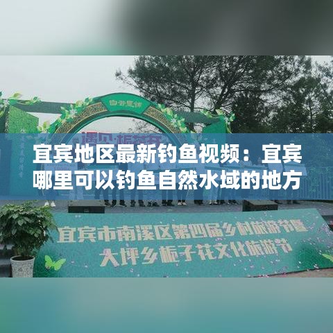 宜宾地区最新钓鱼视频：宜宾哪里可以钓鱼自然水域的地方 