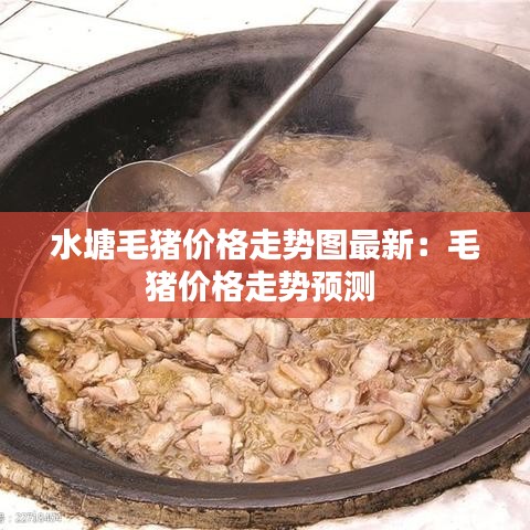水塘毛猪价格走势图最新：毛猪价格走势预测 