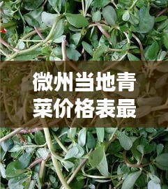 微州当地青菜价格表最新：微州宴最新动态 