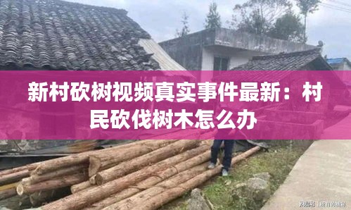 张王李赵 第2页