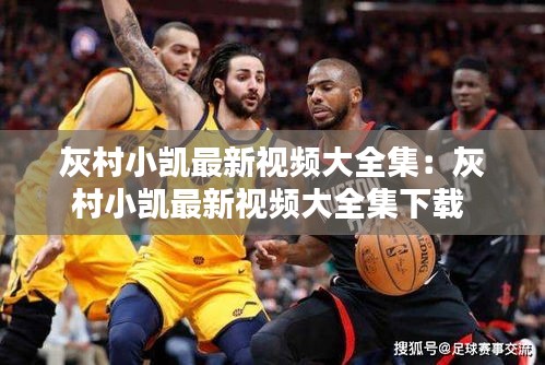 灰村小凯最新视频大全集：灰村小凯最新视频大全集下载 