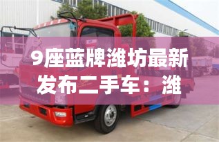 9座蓝牌潍坊最新发布二手车：潍坊二手蓝牌平板车 