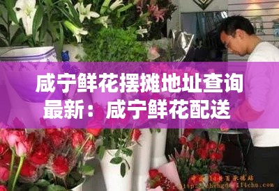 咸宁鲜花摆摊地址查询最新：咸宁鲜花配送 