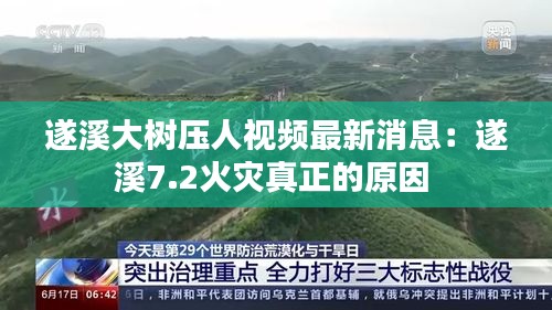 遂溪大树压人视频最新消息：遂溪7.2火灾真正的原因 