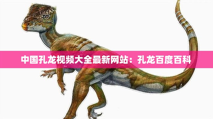 中国孔龙视频大全最新网站：孔龙百度百科 