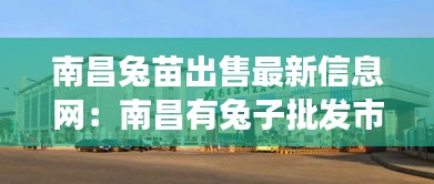 南昌兔苗出售最新信息网：南昌有兔子批发市场吗 
