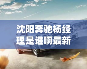 沈阳奔驰杨经理是谁啊最新消息：沈阳奔驰集团 