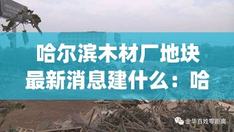 惨淡经营 第2页