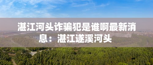 湛江河头诈骗犯是谁啊最新消息：湛江遂溪河头 