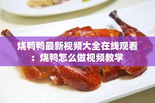烧鸭鸭最新视频大全在线观看：烧鸭怎么做视频教学 