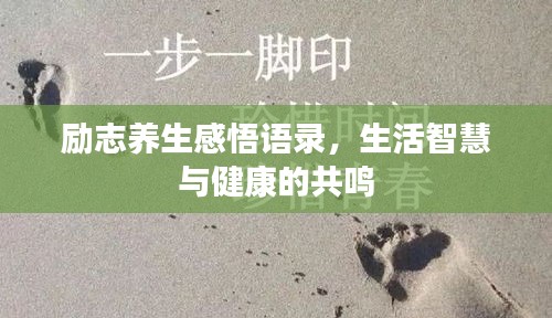 虫言鸟迹 第3页