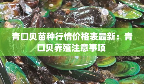 青口贝苗种行情价格表最新：青口贝养殖注意事项 