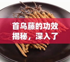 首乌藤的功效揭秘，深入了解与科学应用实践