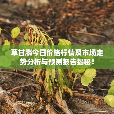 草甘膦今日价格行情及市场走势分析与预测报告揭秘！