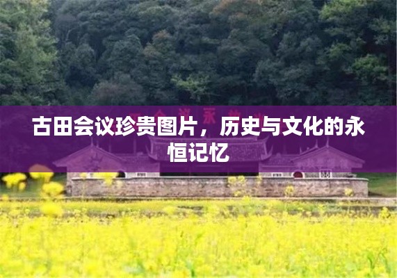 择善而从 第2页