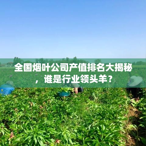 娇小玲珑 第2页