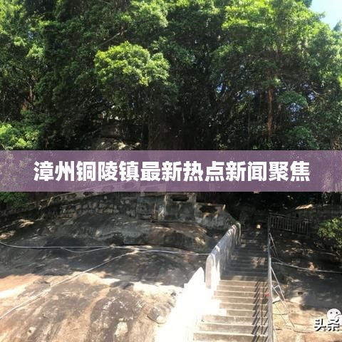 漳州铜陵镇最新热点新闻聚焦