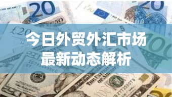 今日外贸外汇市场最新动态解析