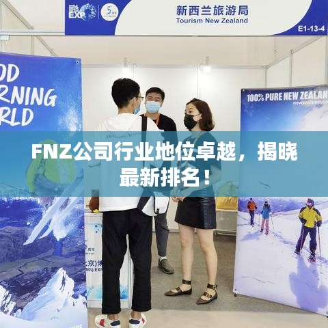 FNZ公司行业地位卓越，揭晓最新排名！