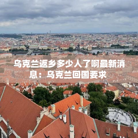 乌克兰返乡多少人了啊最新消息：乌克兰回国要求 