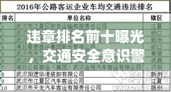 违章排名前十曝光，交通安全意识警钟长鸣
