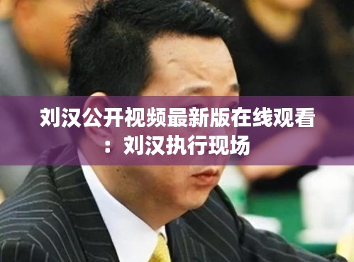 刘汉公开视频最新版在线观看：刘汉执行现场 