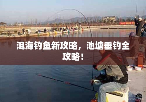 洱海钓鱼新攻略，池塘垂钓全攻略！
