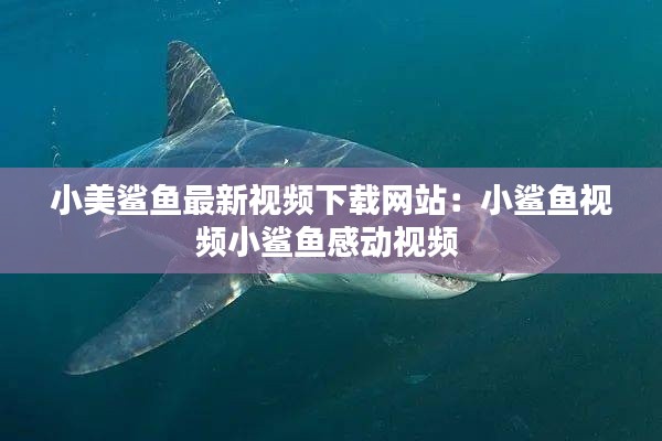 小美鲨鱼最新视频下载网站：小鲨鱼视频小鲨鱼感动视频 