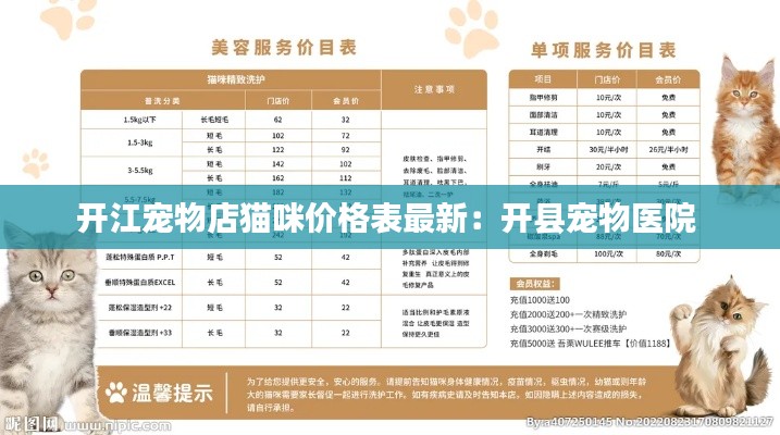 开江宠物店猫咪价格表最新：开县宠物医院 