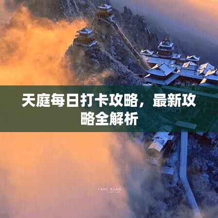 天庭每日打卡攻略，最新攻略全解析