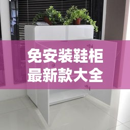 免安装鞋柜最新款大全双门：免漆鞋柜 