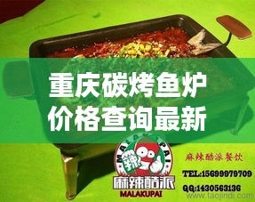 投影仪 第148页