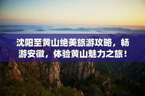 沈阳至黄山绝美旅游攻略，畅游安徽，体验黄山魅力之旅！
