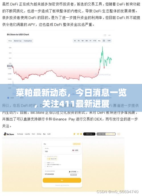 菜粕最新动态，今日消息一览，关注411最新进展