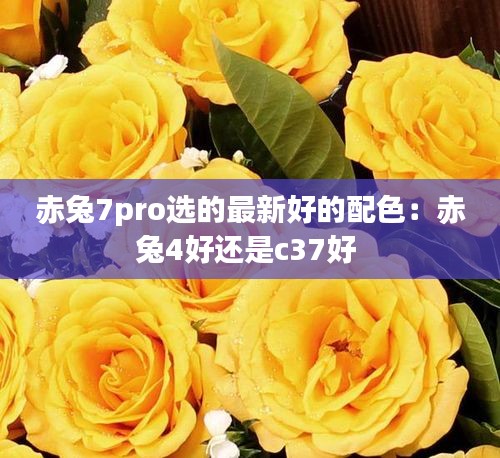 赤兔7pro选的最新好的配色：赤兔4好还是c37好 
