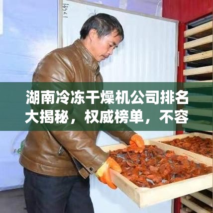湖南冷冻干燥机公司排名大揭秘，权威榜单，不容错过！