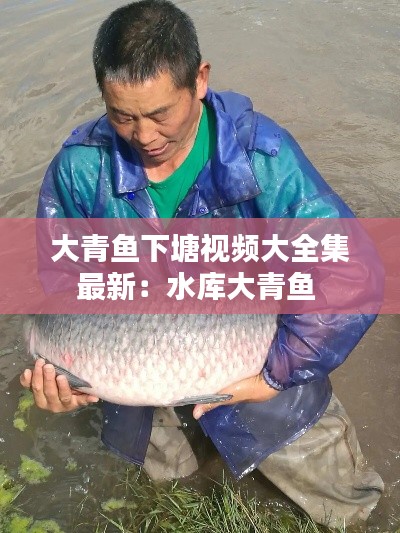 早生贵子 第2页