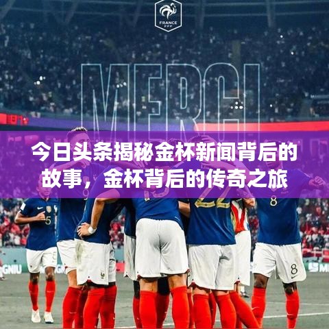 今日头条揭秘金杯新闻背后的故事，金杯背后的传奇之旅