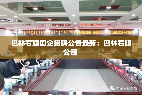 巴林右旗国企招聘公告最新：巴林右旗公司 