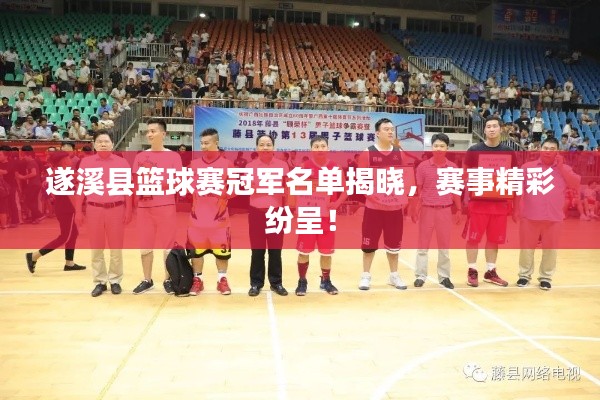 遂溪县篮球赛冠军名单揭晓，赛事精彩纷呈！