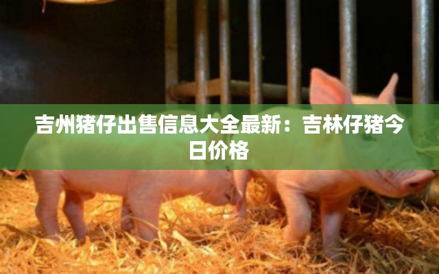 吉州猪仔出售信息大全最新：吉林仔猪今日价格 