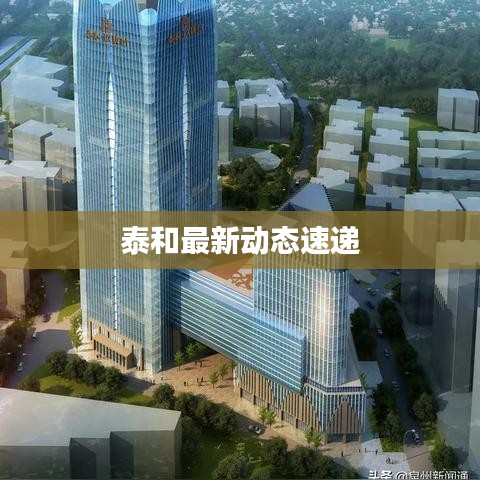 泰和最新动态速递