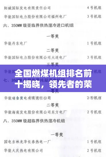 全国燃煤机组排名前十揭晓，领先者的荣耀榜单！
