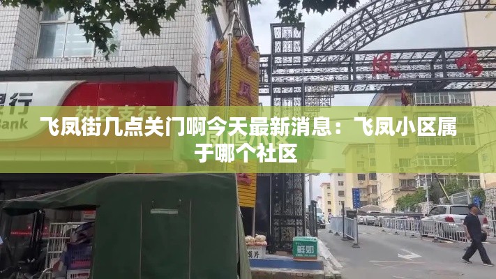 飞凤街几点关门啊今天最新消息：飞凤小区属于哪个社区 