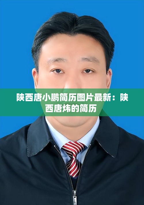 陕西唐小鹏简历图片最新：陕西唐炜的简历 
